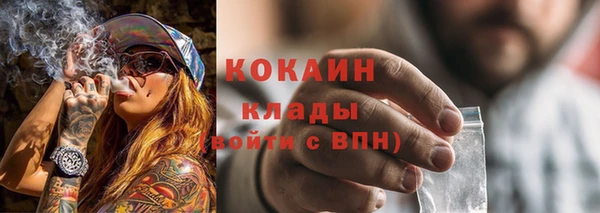 гашик Арсеньев
