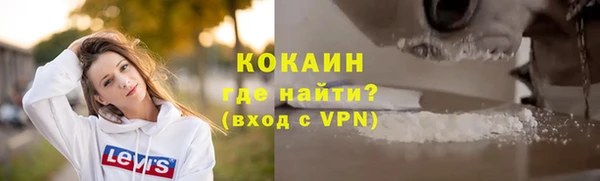 гашик Арсеньев
