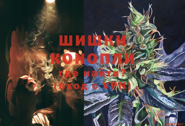 гашик Арсеньев