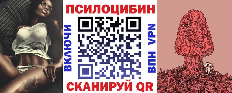 Купить где  Зуевка  Псилоцибиновые грибы GOLDEN TEACHER 