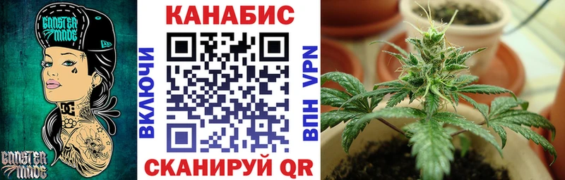 Купить закладки  Зуевка  МАРИХУАНА AK-47 